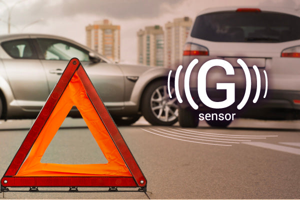 RS990 GPS rs990-gps/RS990_GPS-05m